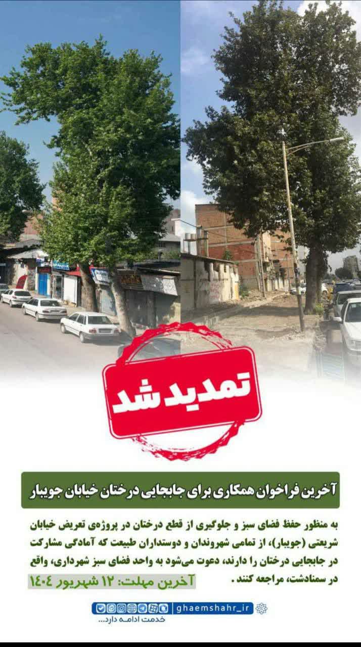 فراخوان همکاری برای جابجایی درختان خیابان جویبار تمدید شد
