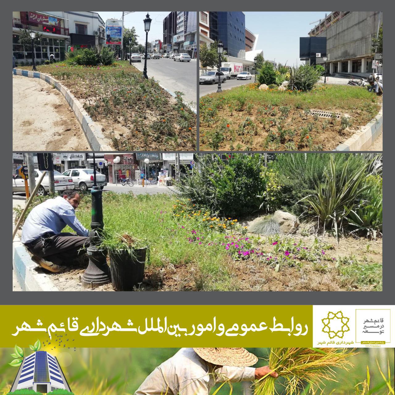 گوشه ای از عملکرد واحد فضای سبز شهرداری قائم شهر