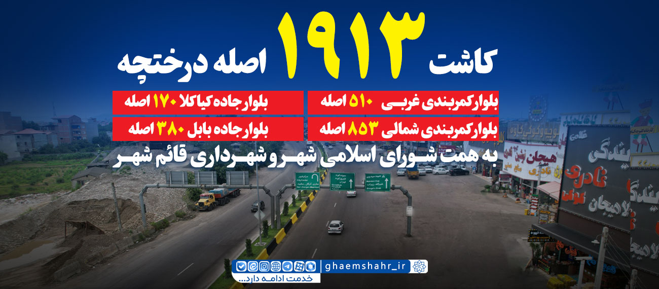 کاشت 1913 درختچه